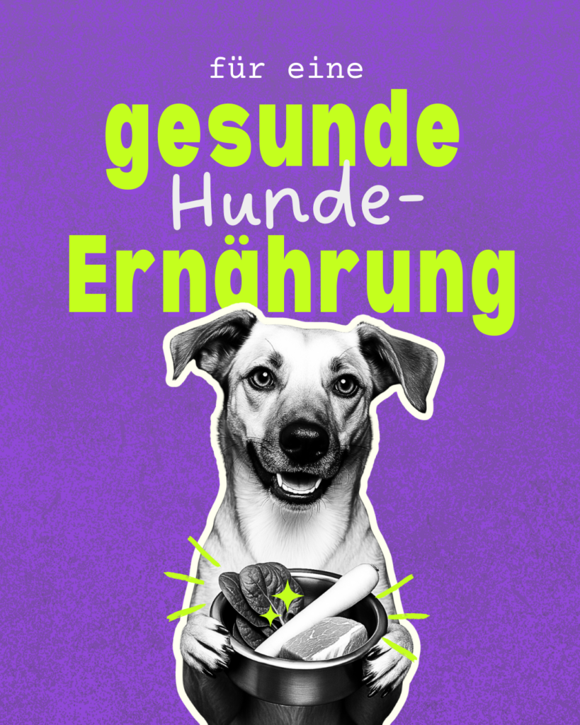 Illustration eines Hundes mit Futternapf und dem Schriftzug „für eine gesunde Hunde-Ernährung“