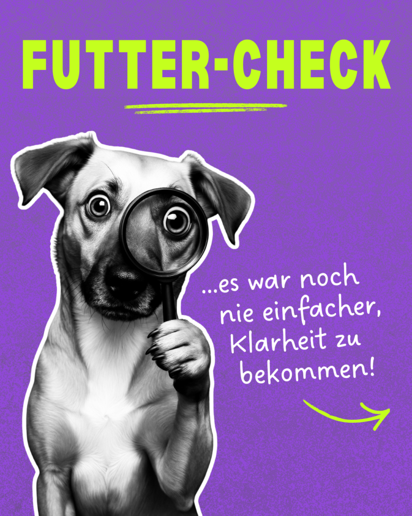 Futter-Check für Hunde – Klarheit über das Hundefutter im Napf