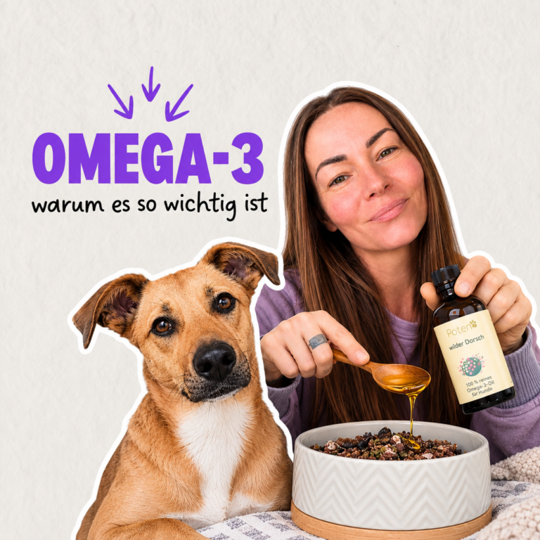 Omega-3 für Hunde – Futter wird mit hochwertigem Öl ergänzt