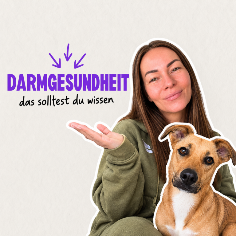 Darmgesundheit beim Hund - was du über Darmaufbau und Verdauung wiessen solltest