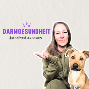 Darmgesundheit beim Hund - was du über Darmaufbau und Verdauung wiessen solltest