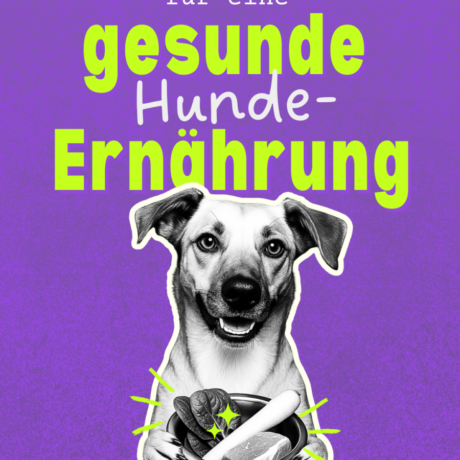 Illustration eines Hundes mit Futternapf und dem Schriftzug „für eine gesunde Hunde-Ernährung“